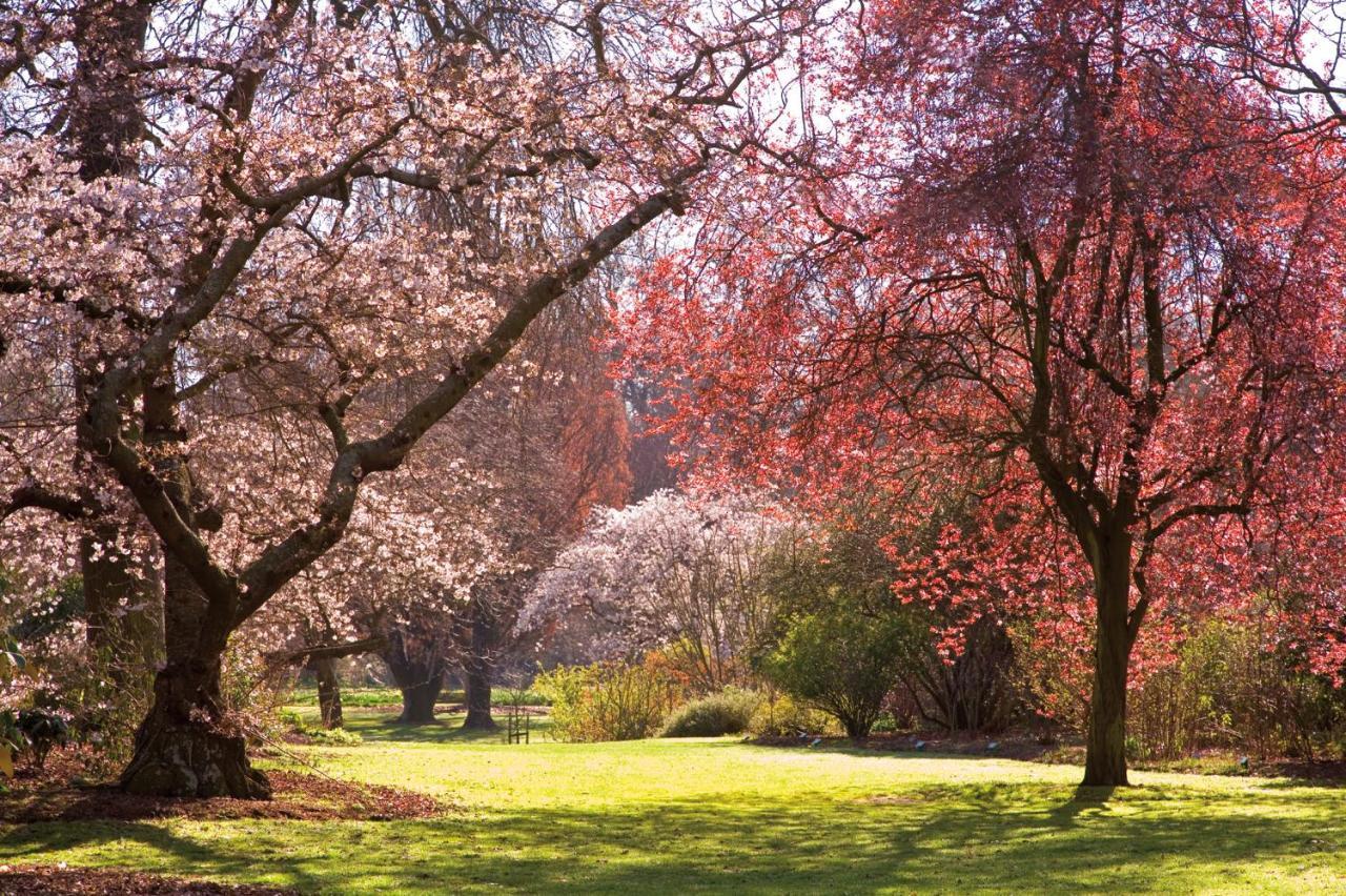 Parkview On Hagley Ξενοδοχείο Κράισττσερτς Εξωτερικό φωτογραφία